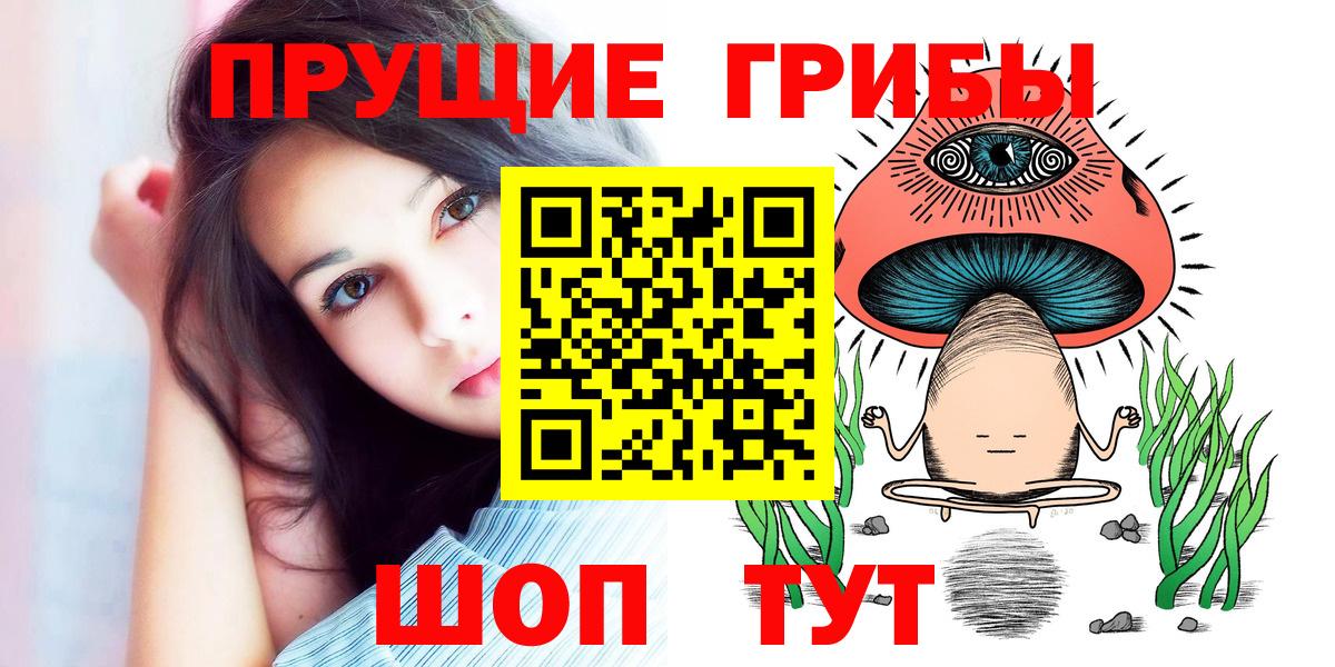 Псилоцибиновые грибы Psilocybine cubensis  Галлюциногенные грибы Cubensis  Вход с VPN  Луга 